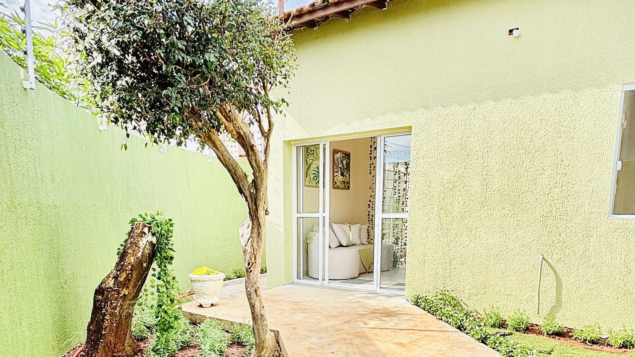 Jardim de entrada da Fiore, com oliveira e canteiros